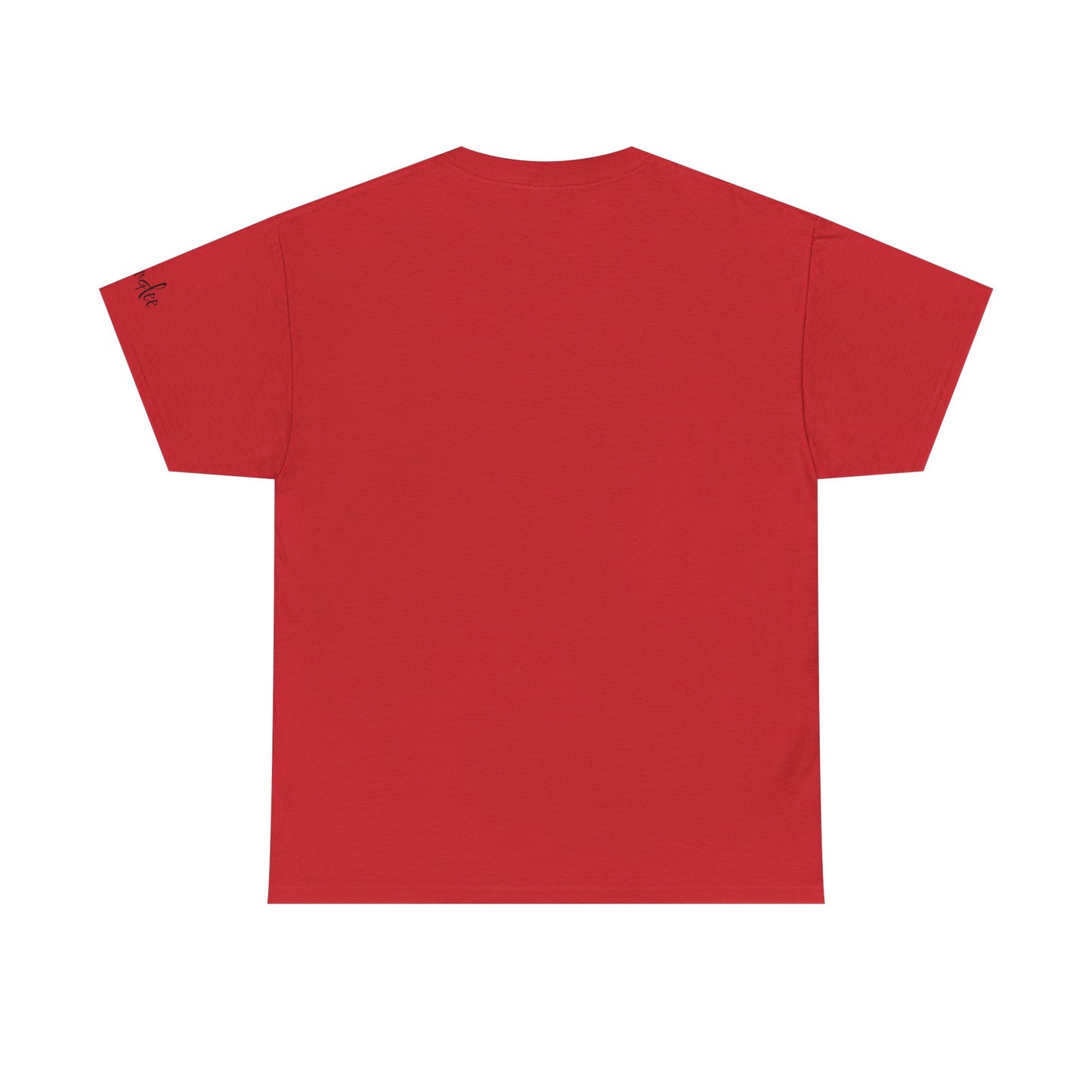 I Can Do All Things (Inspirational Unisex T-shirts)