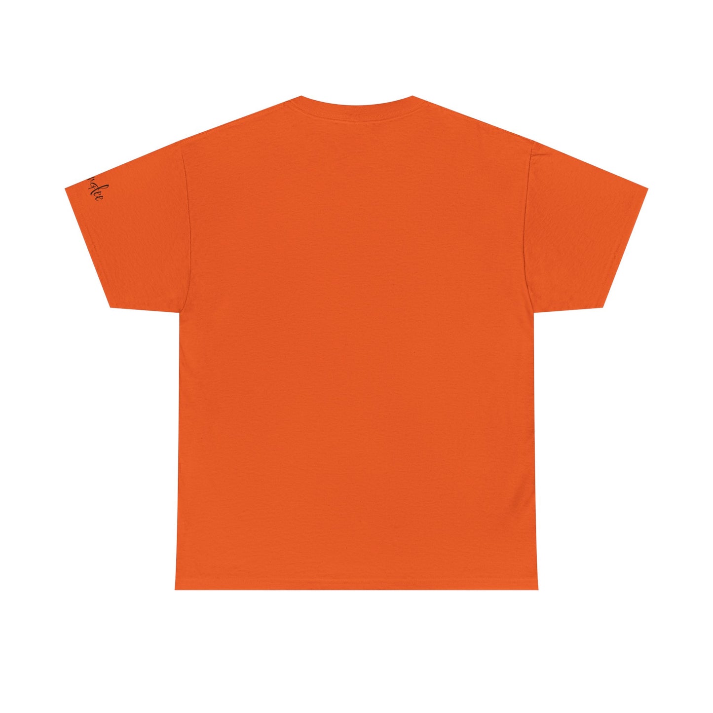 I Can Do All Things (Inspirational Unisex T-shirts)