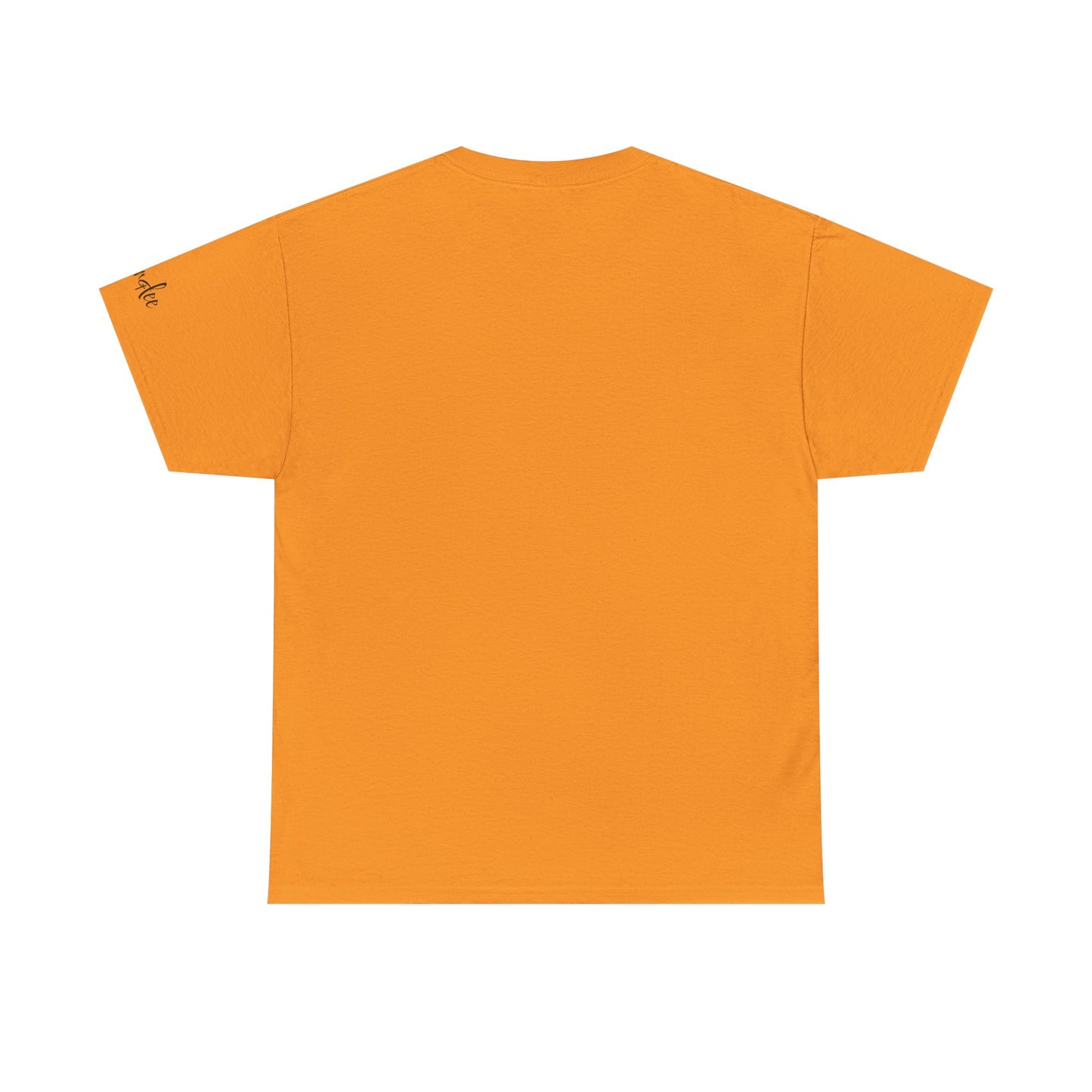 I Can Do All Things (Inspirational Unisex T-shirts)
