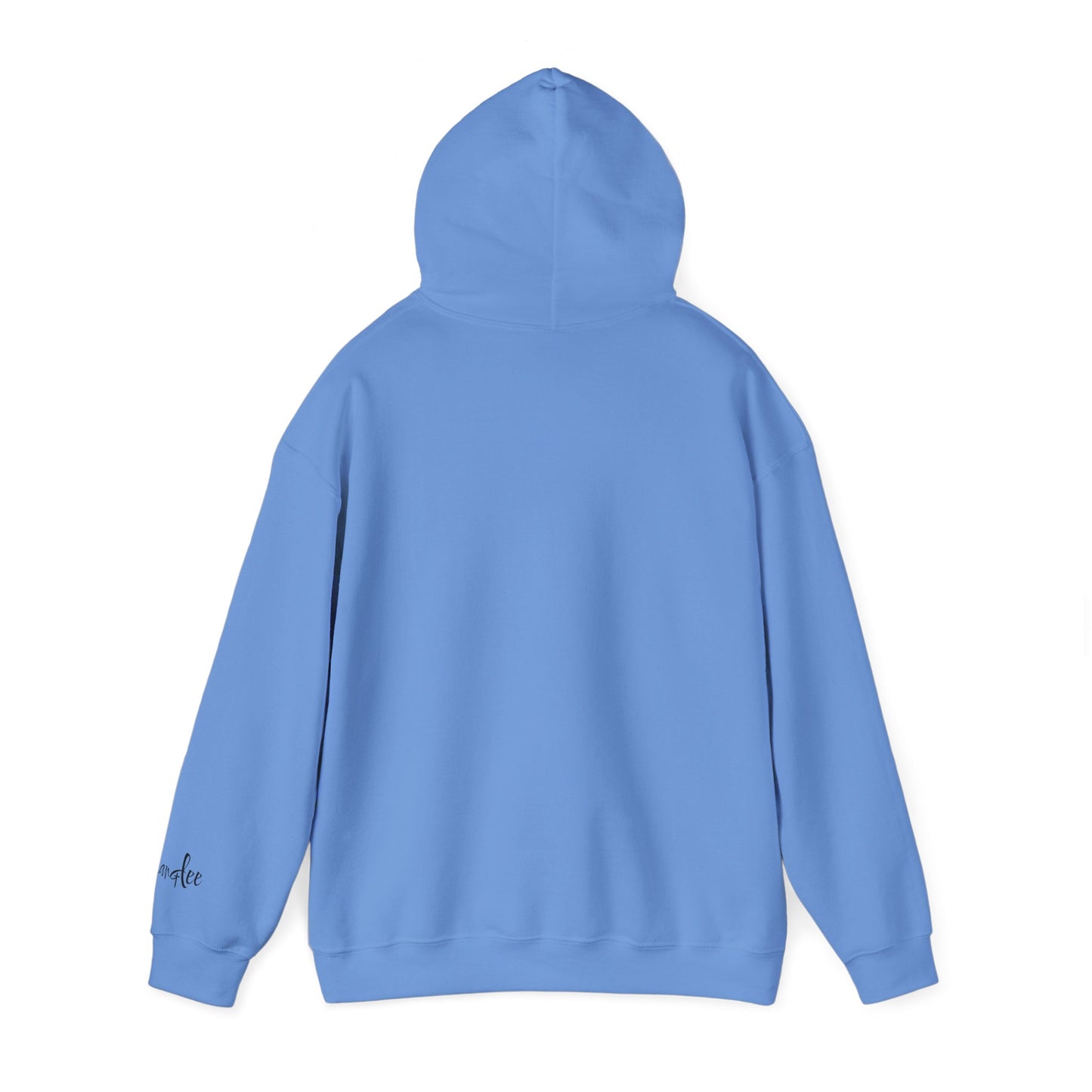 I Can Do All Things (Inspirational Unisex Hoodie)
